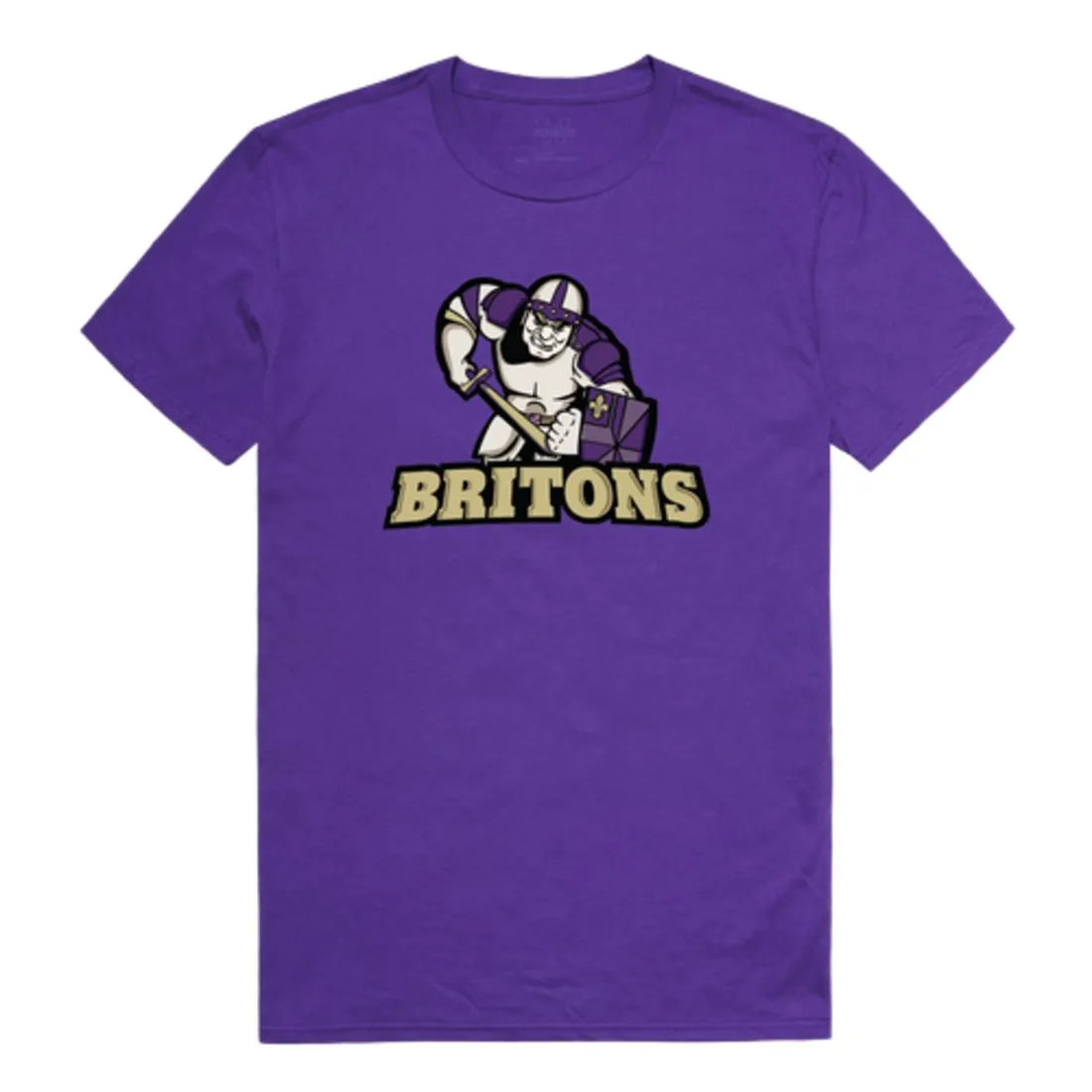 Albion College Britons The Freshmen T-Shirt Tee