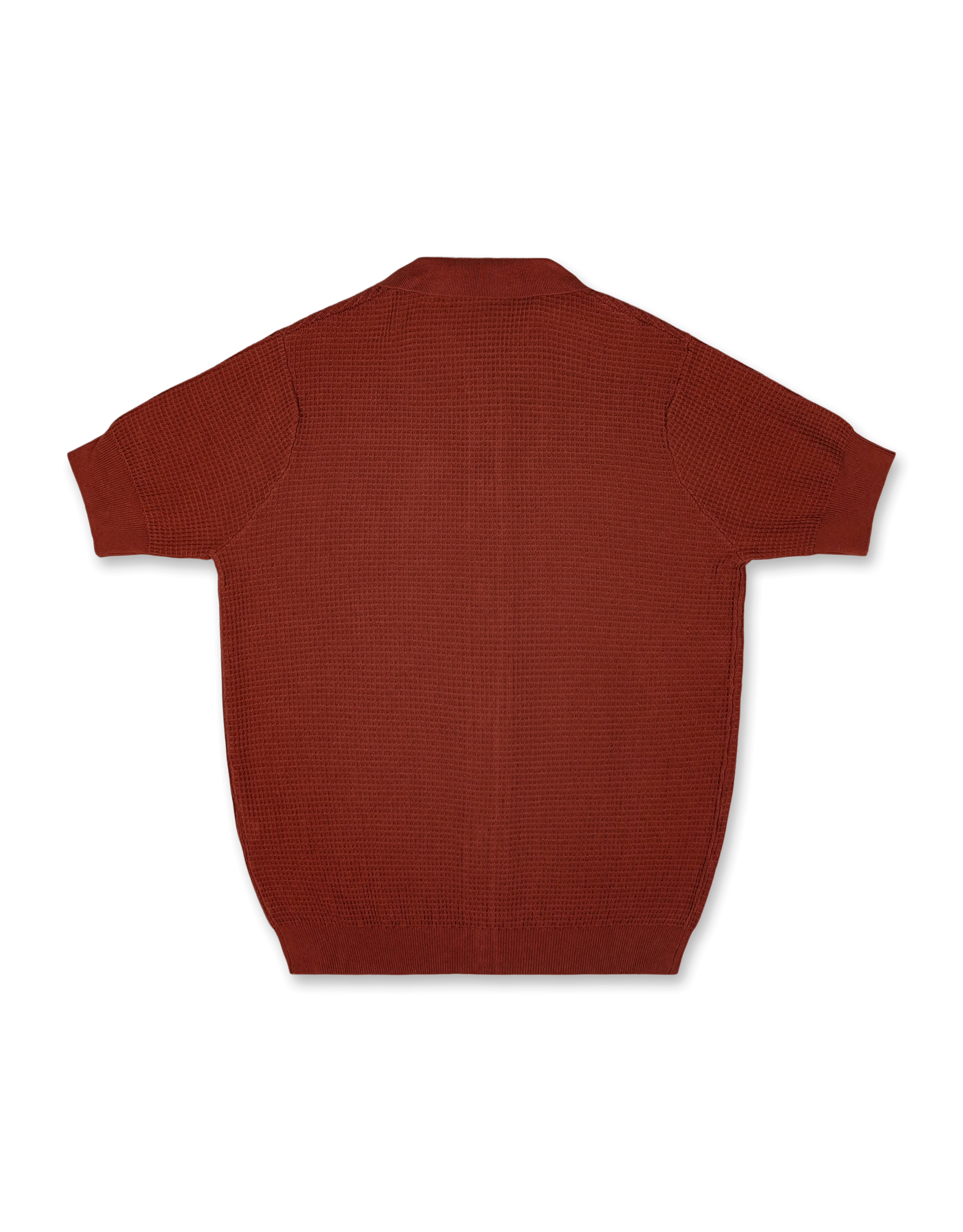 Fancy Knit Polo Sweater