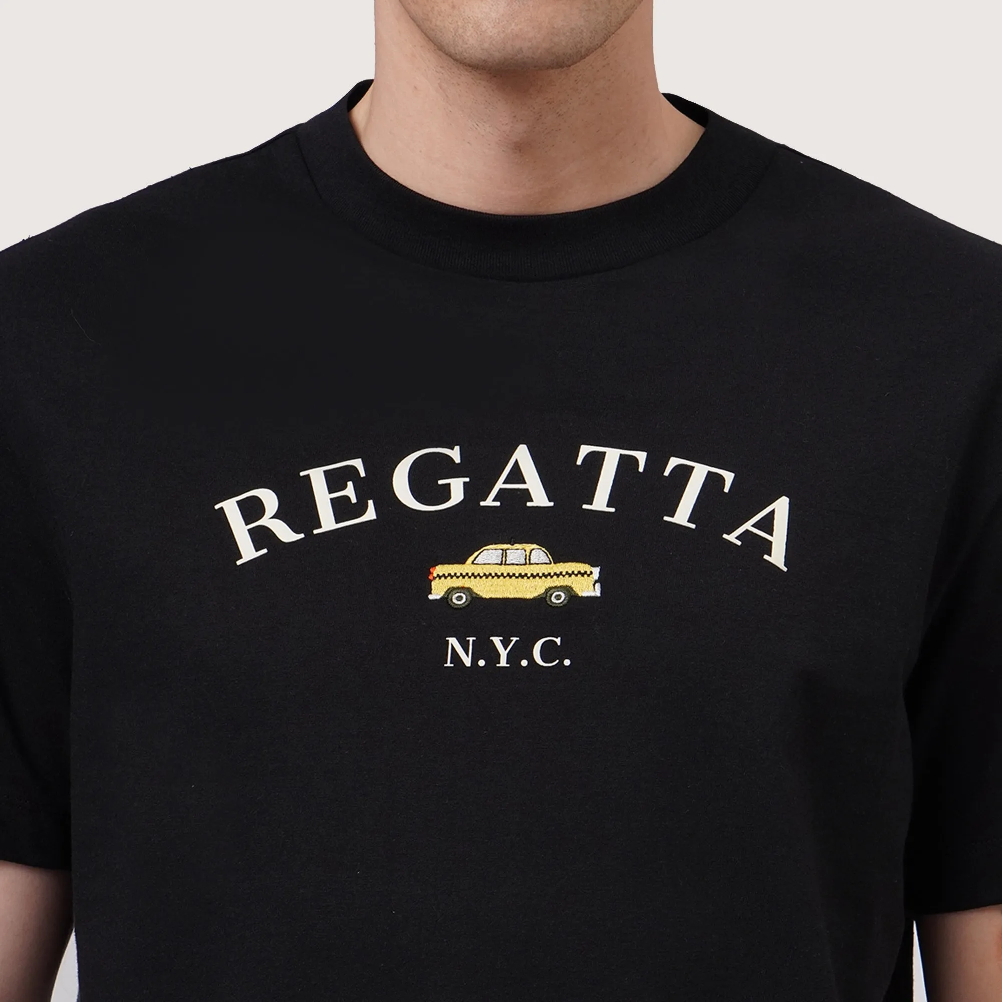 Regular Fit Round Neck T-Shirt With Graphic Embroidery